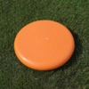 Beret stabilizacyjny, dysk pompowany