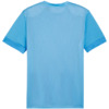 Koszulka męska Puma teamGoal Matchday Jersey błękitna 705747 18