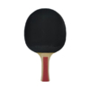 Rakietka do ping ponga Point Derby