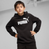 Bluza dla dzieci Puma ESS No.1 Logo Hoodie czarna 684909 01