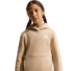 Bluza dla dzieci Nike Sportswear Club Fleece beżowa FD3000 286