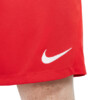 Spodenki męskie Nike Dry Park III NB K czerwone BV6855 657