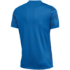 Koszulka męska Nike Dri-Fit Precision VII niebieska FZ9332 463