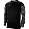 Bluza bramkarska męska Nike Dry Park IV JSY LS GK czarna CJ6066 010