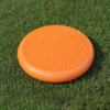 Beret stabilizacyjny, dysk pompowany