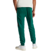 Spodnie męskie adidas Essentials Big Logo French Terry zielone JE8971