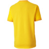 Koszulka dla dzieci Puma teamGOAL 23 Jersey żółta 704160 07