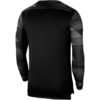 Bluza bramkarska męska Nike Dry Park IV JSY LS GK czarna CJ6066 010