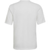 Koszulka dla dzieci adidas Entrada 22 Graphic Jersey biało-szara HF0120