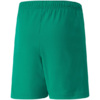 Spodenki dla dzieci Puma teamRISE Short Jr zielone 704943 05