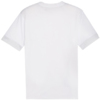 Koszulka męska Puma teamGoal Matchday Jersey biała 705747 04