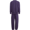 Dres dla dzieci adidas Essentials Joggers fioletowy JW2439