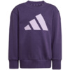 Dres dla dzieci adidas Essentials Joggers fioletowy JW2439