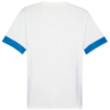 Koszulka męska Puma teamGoal Matchday Jersey biało-niebieska 705747 12