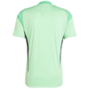 Koszulka bramkarska męska adidas Tiro 25 Competition Jersey Short Sleeve zielona JI9716