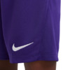 Spodenki dla dzieci Nike Dry Park III NB K fioletowe BV6865 547
