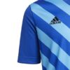 Koszulka dla dzieci adidas Entrada 22 Graphic Jersey niebieska HF0130
