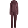 Dres damski adidas Essentials Linear bordowy JD2698