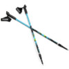 Kijki Nordic Walking Spokey Meadow niebiesko-czarno-zielone 929462