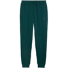 Spodnie męskie Puma ESS no.1 Logo Sweatpants FL zielone 682607 70
