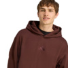 Bluza męska adidas All Szn Fleece brązowa JX5090