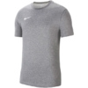 Koszulka męska Nike Dri-FIT Park 20 Tee szara CW6952 071