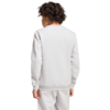 Bluza dla dzieci adidas Entrada 26 Sweat Top szara JZ6551