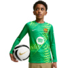 Koszulka dla dzieci Nike FC Barcelona Stadium Goalkeeper 2026/27 zielona II3610 324