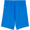 Spodenki dla dzieci Puma Team Goal niebieskie 705753 02