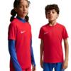 Koszulka dla dzieci Nike Dri-Fit Park VIII czerwona HV8182 657