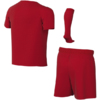 Komplet sportowy dla małych dzieci Nike Dri-Fit Park VIII czerwony HV8260 657