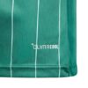 Koszulka dla dzieci adidas Entrada 26 Graphic Jersey zielona KE5072