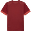Koszulka męska Puma teamGoal Matchday Jersey bordowa 705747 09