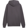 Bluza męska Puma ESS 2 Color Small No.1 Logo Hoodie szara 684718 77