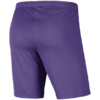 Spodenki dla dzieci Nike Dry Park III NB K fioletowe BV6865 507