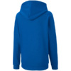 Bluza dla dzieci Puma teamGOAL 23 Casuals Hoody Jr niebieska 656711 02