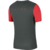 Koszulka dla dzieci Nike Dry Academy PRO TOP SS czerwono-szara BV6947 064