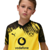 Koszulka dla dzieci Puma BVB Home Jersey Replica Faster żółta 780094 01