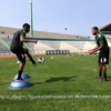 Bosu Trainer