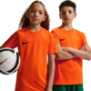 Koszulka dla dzieci Nike Dri-Fit Park VIII pomarańczowa HV8182 819