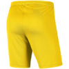 Spodenki dla dzieci Nike Dry Park III NB K żółte BV6865 718