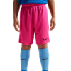 Spodenki dla dzieci Nike Dry Park III NB K różowe BV6865 616