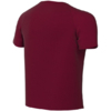 Koszulka dla dzieci Nike Dri-Fit Park VIII bordowa HV8182 677