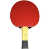 Rakietka do ping ponga Butterfly Timo Boll SG55 85022