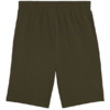 Spodenki męskie Puma Ess 2 Color No. 1 Logo khaki 684715 70