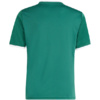 Koszulka dla dzieci adidas Entrada 26 Graphic Jersey zielona KE5072