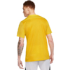 Koszulka męska Nike Dry Park VII JSY SS żółta BV6708 719