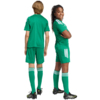 Spodenki dla dzieci adidas Tiro 26 League zielone KA8812
