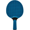 Rakietka do ping ponga Point School Outdoor niebieska