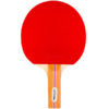 Zestaw rakiet do ping ponga Spokey Alpha Set 84352  